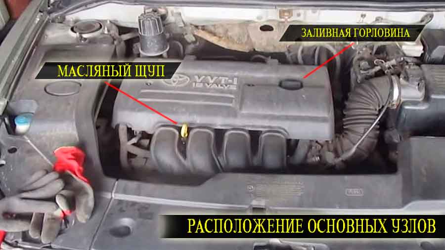 Замена масла Тойота Авенсис
