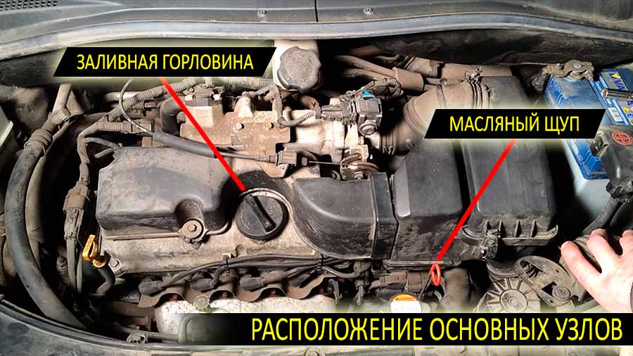 Замена масла Киа Пиканто