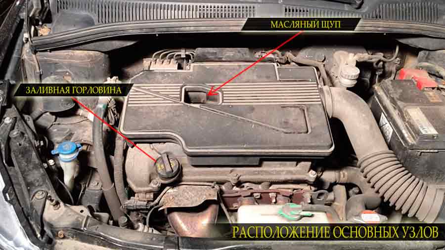 Меняем масло Сузуки сх4