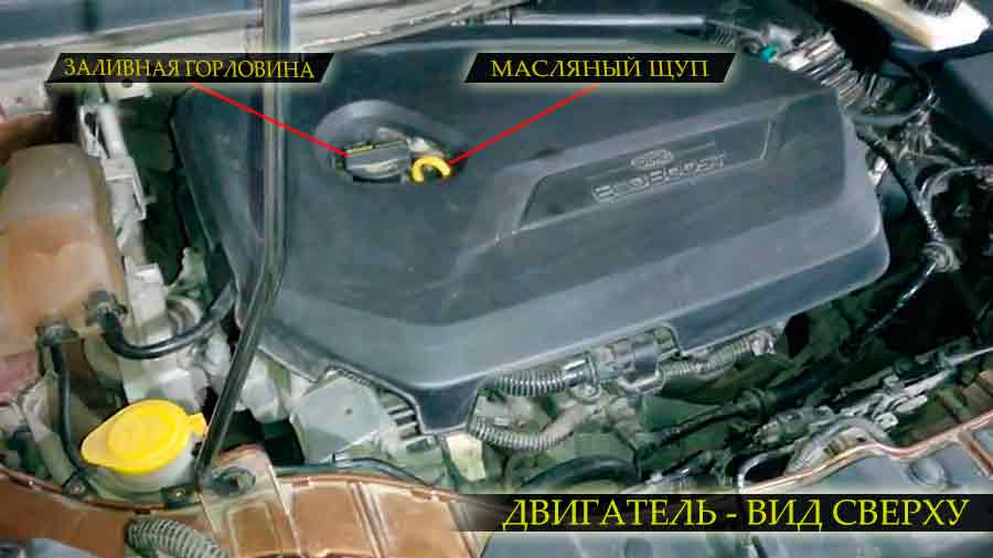 Расположение заливной горловины и масляного щупа на двигателе форд куга второго поколения