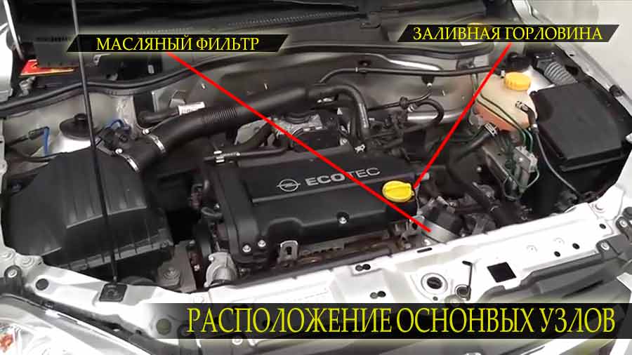 Какое масло и сколько лить в мотор Опель Корса