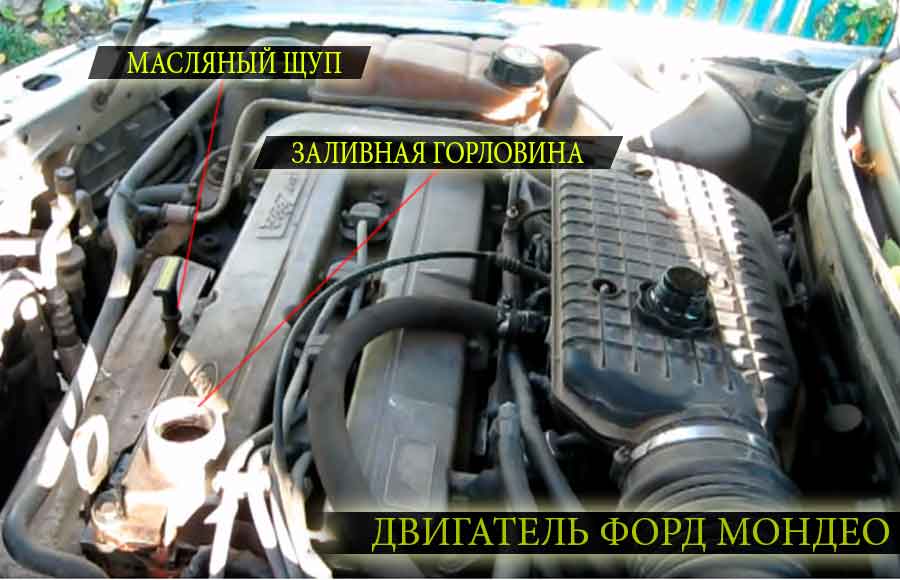 Расположение основных узлов на двигателе форд мондео второго поколения