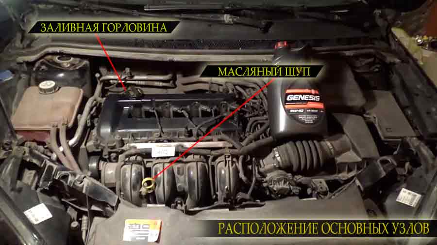 Расположение на двигателе заливной горловины и масляного щупа Форд ЭкоСпорт