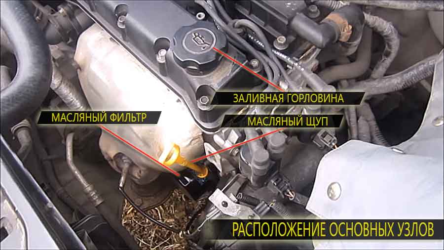 Расположение заливной горловины, масляного фильтра и контрольного щупа на двигателе Шевроле Лачетти