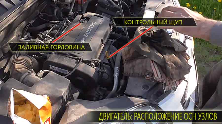Расположение масляного щупа и заливной горловины на двигателе Шевроле Орландо