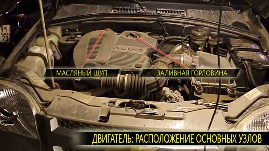 Расположение заливной горловины и масляного щупа на двигателе Шевроле Нива