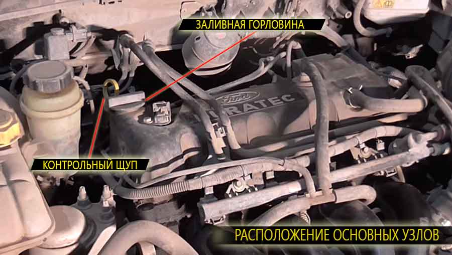 Расположение масляного щупа и заливной горловины на двигателе о Фокус 1