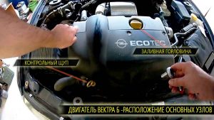 Расположение на двигателе вектра б заливной горловины и масляного щупа