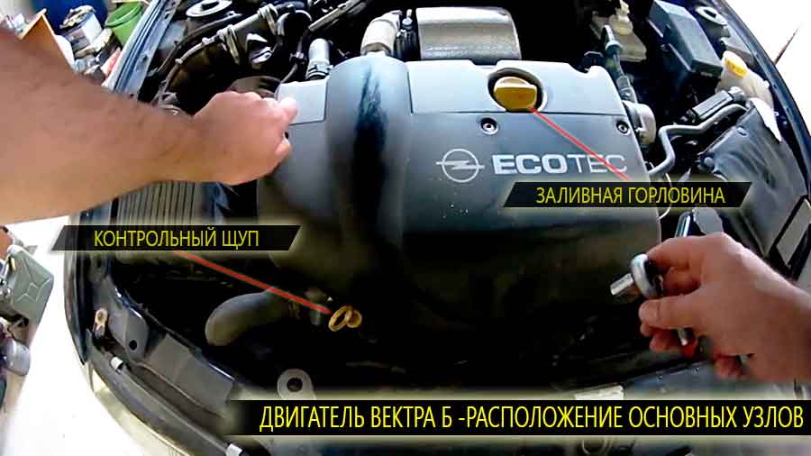 Расположение на двигателе вектра б заливной горловины и масляного щупа