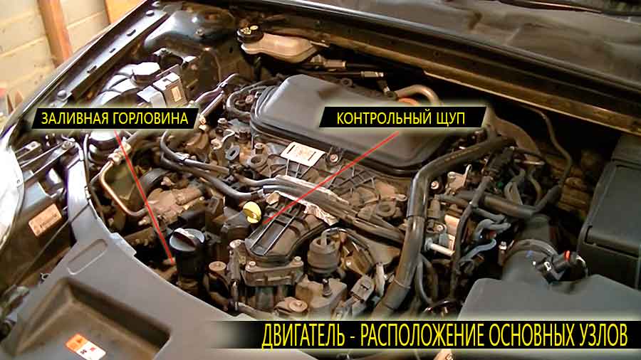 Расположение на двигателе Форд Мондео 4 поколения заливной горловины и контрольного щупа