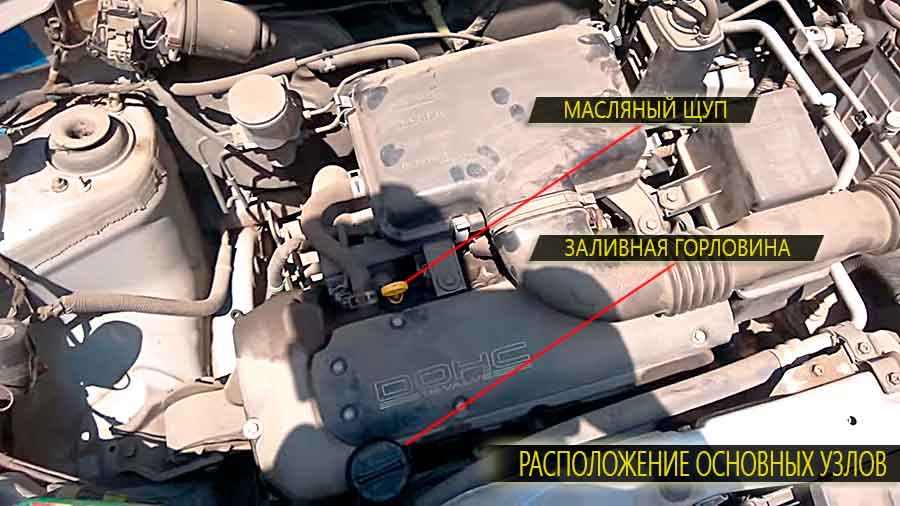Расположение основных узлов на двигателе suzuki swift - заливная горловина и масляный фильтр картера двигателя