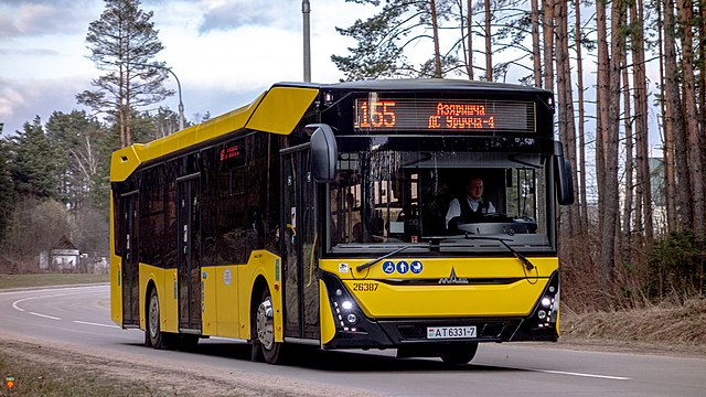 Аренда и заказ автобуса с водителем от компании «Тайм Авто»
