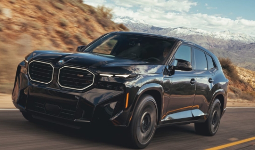 О дилерском центре BMW Борисхоф
